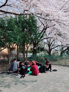 image1.jpeg